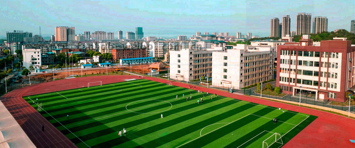 电视、平板、手机三种设备线稿并排，屏幕内显示统计图形